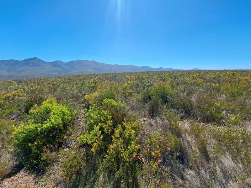 0 Bedroom Property for Sale in Kareedouw Eastern Cape